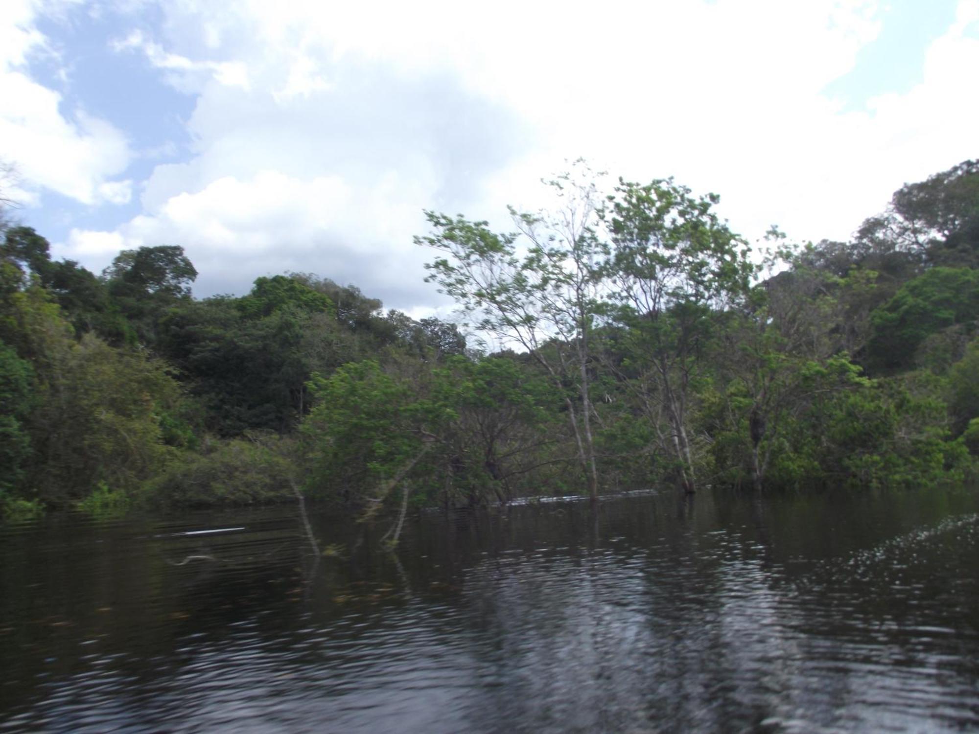 Amazon Arowana Lodge Careiro Exterior photo