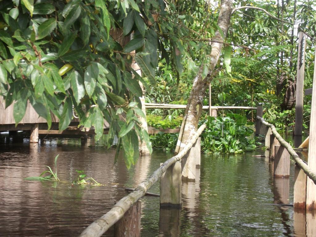 Amazon Arowana Lodge Careiro Exterior photo